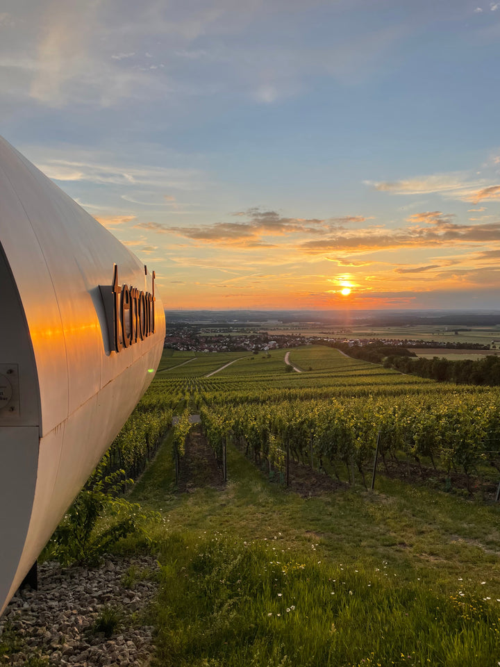 Sundowner Weinbergsführung