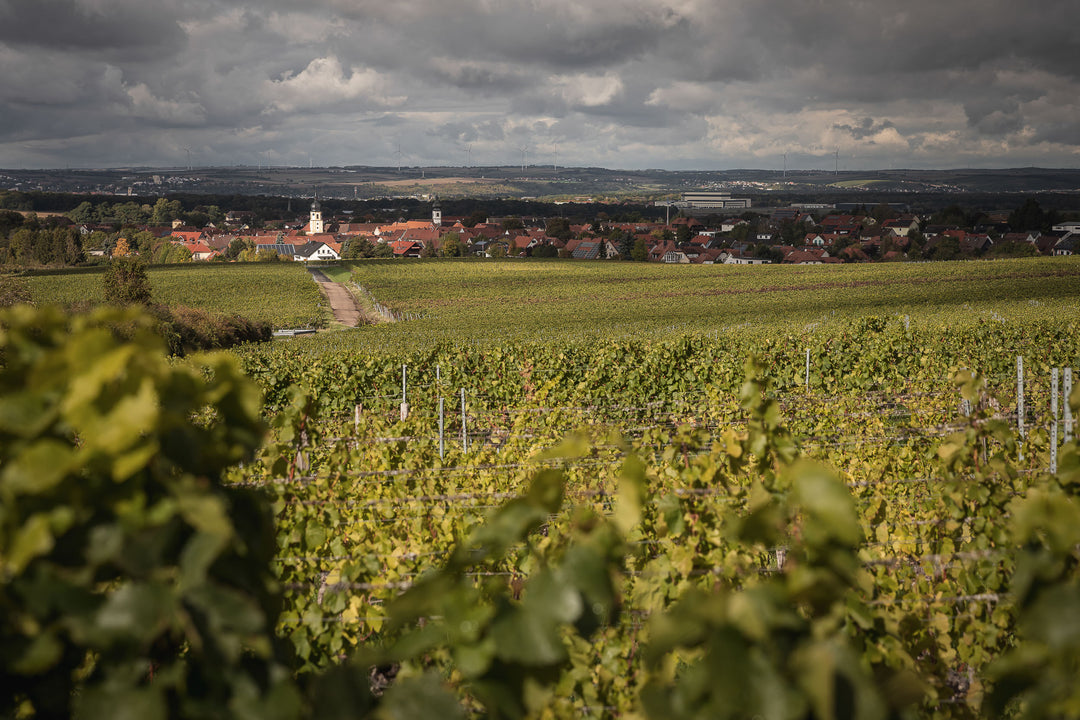 Weinberge des Weinguts Melber in Rödelsee auf Keuperboden