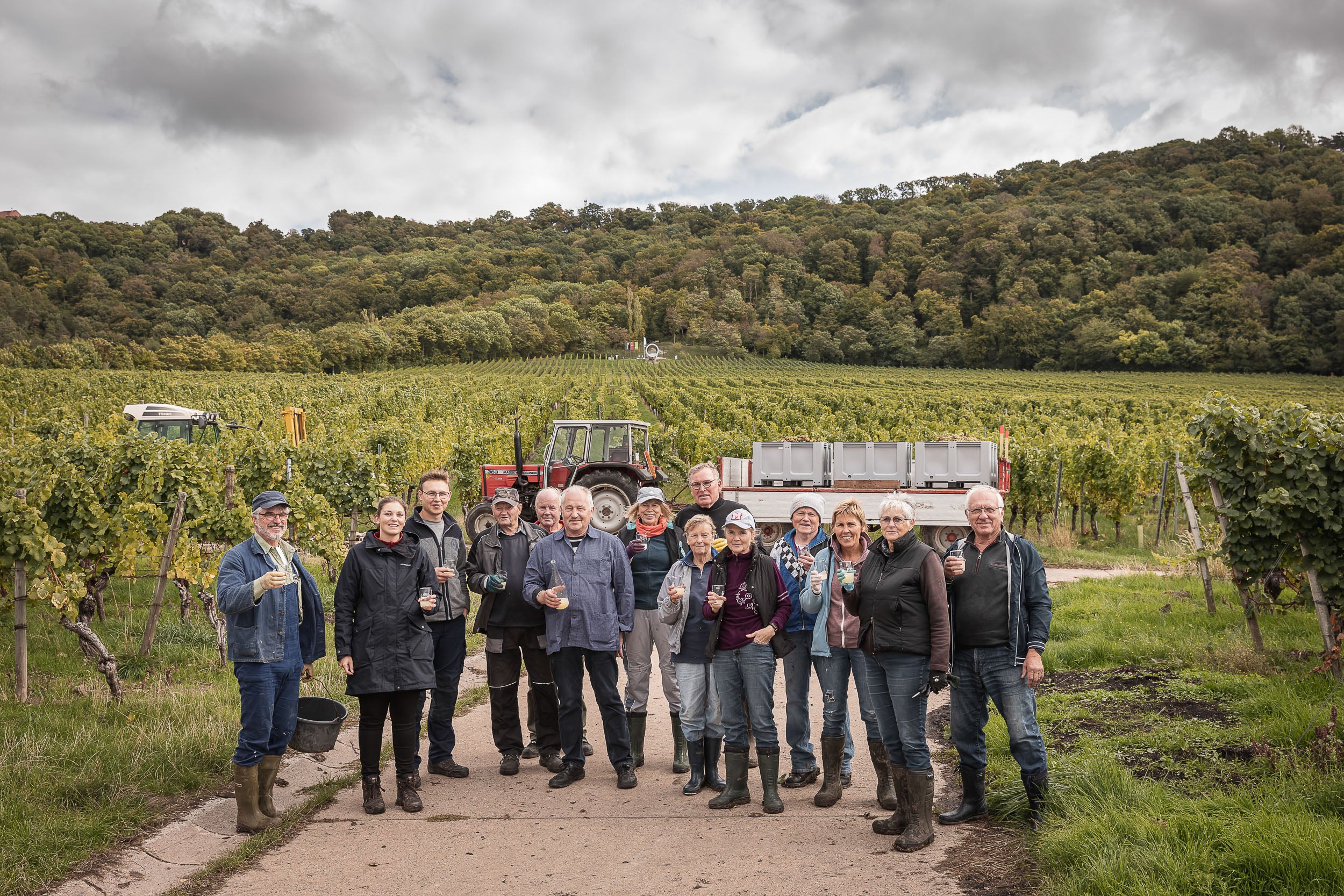 eam des Weinguts Melber aus Rödelsee am Schwanberg in Franken – Winzerfamilie und Mitarbeiter im Weinberg