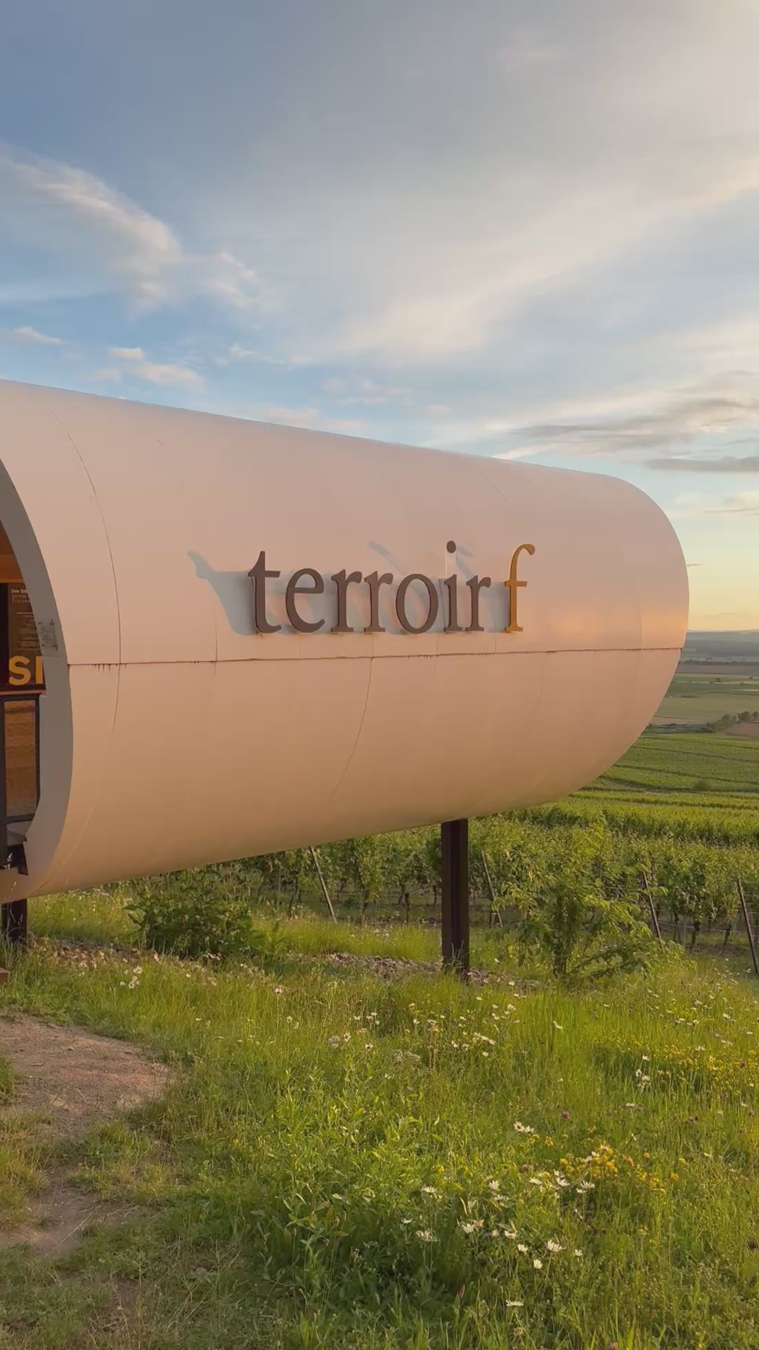 Sundowner Weinbergsführung