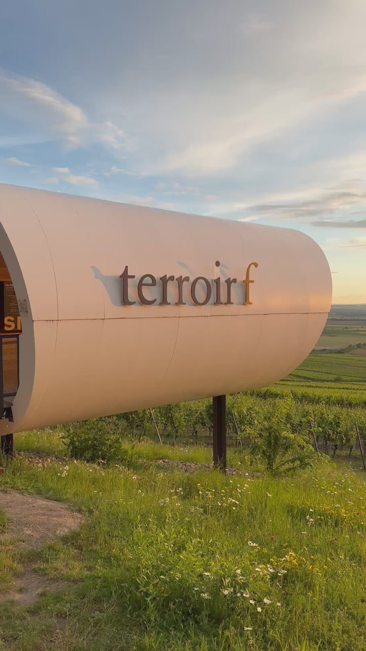 Sundowner Weinbergsführung